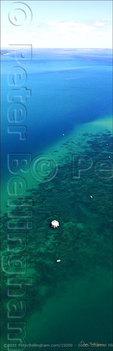 Peter Bellingham Photography South Channel Pile - Port Philip - VIC V (PBH4 00 11382)